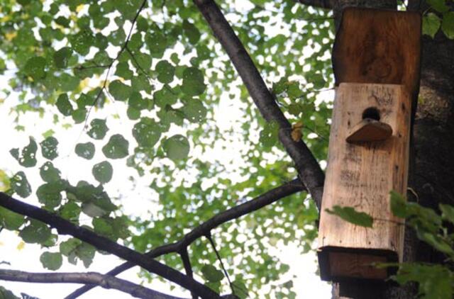 Klaipėda: VE.lt pristato spalio 24-osios įvykius