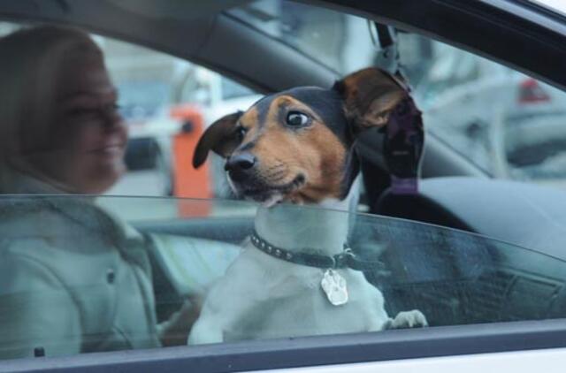 Klaipėda: VE.lt pristato spalio 8-osios įvykius