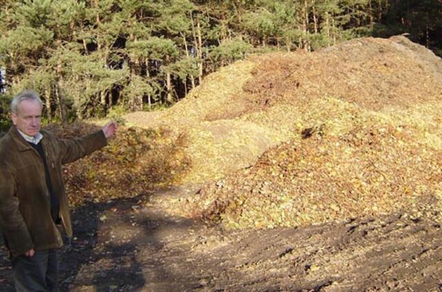 Nukritusius medžių lapus Palangos komunalininkai paverčia kompostu