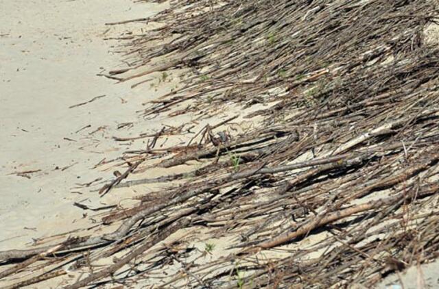 Palangos kopos bus tvirtinamos žabtvorėmis