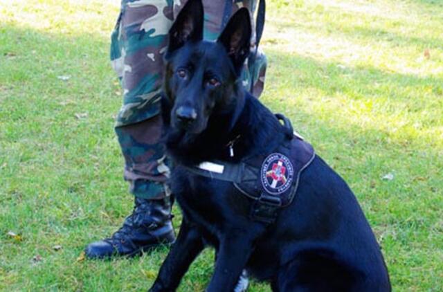 Pasieniečių šuo išgelbėjo pasiklydusią senolę