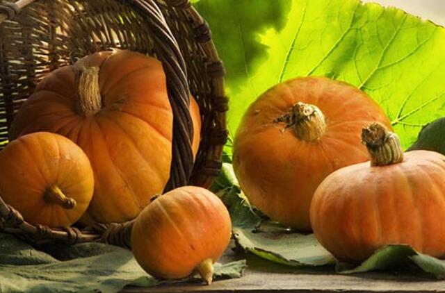 Patarimai sodininkams: svarbiausi spalio darbai