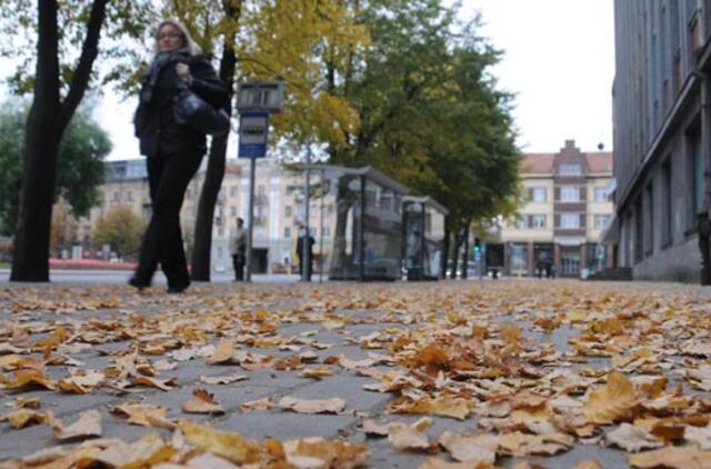 Rudens melancholija naudinga!
