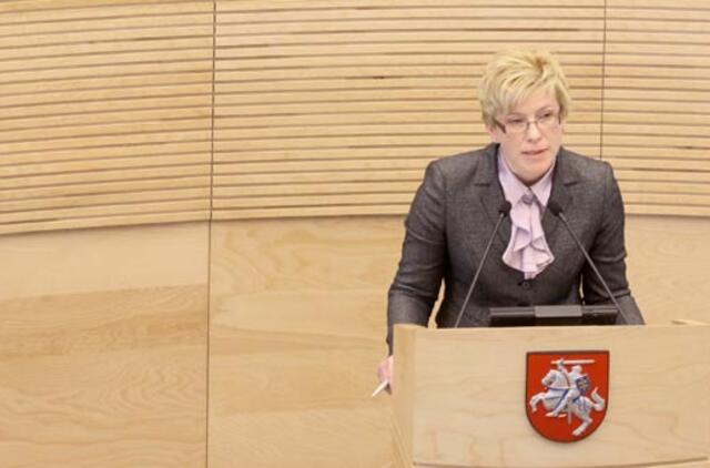 Seime pristatomas kitų metų biudžeto projektas