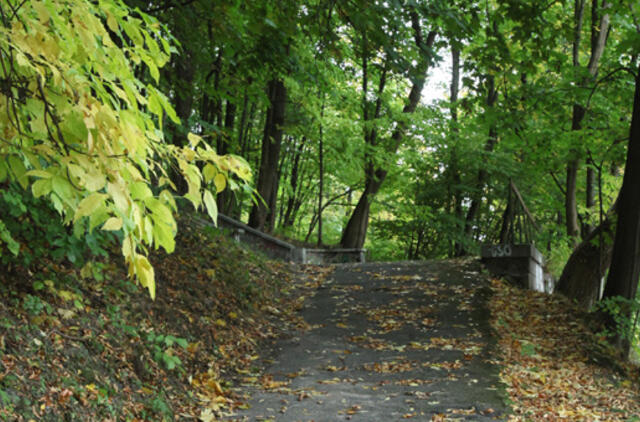 Spalio 10-oji: vardadieniai, dangaus kūnai, istorija