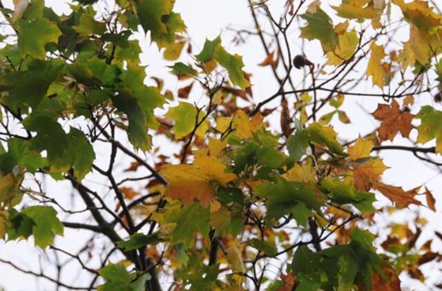 Spalio 6-oji: vardadieniai, dangaus kūnai, istorija