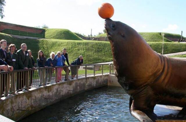 Tėčiai spalį jūrų muziejuje lankysis nemokamai
