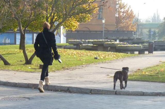 Klaipėda: VE.lt pristato lapkričio 11-osios įvykius