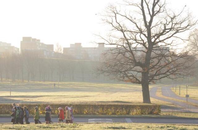 Klaipėda: VE.lt pristato lapkričio 25-osios įvykius