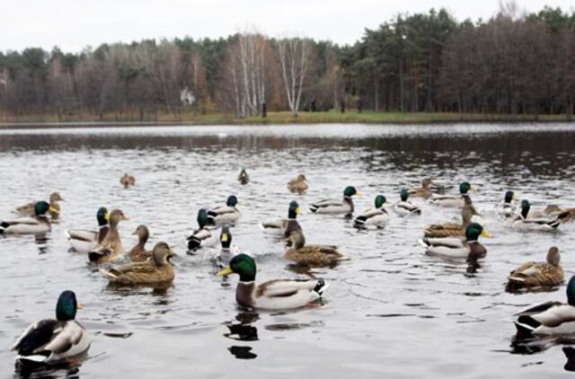 Lapkričio 13-oji: vardadieniai, dangaus kūnai, istorija