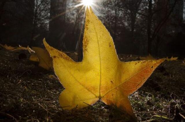 Lapkričio 24-oji: vardadieniai, dangaus kūnai, istorija