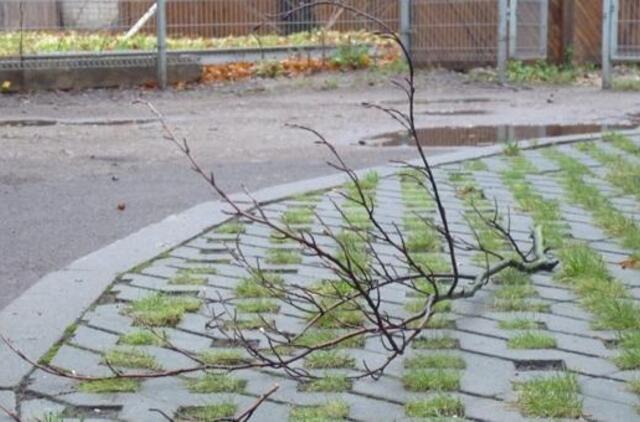 Lapkričio 28-oji: vardadieniai, dangaus kūnai, istorija