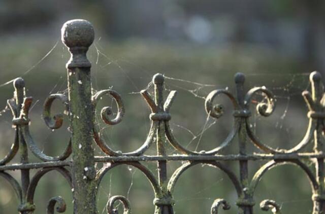 Lapkričio 8-oji: vardadieniai, dangaus kūnai, istorija