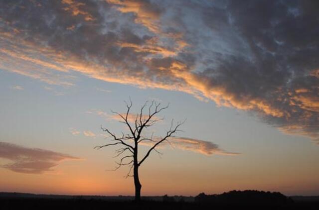 Lietuvos spaudos fotografų klubas kartu su festivaliu "Vilniaus fotografijos ratas" švenčia ir savo 10-metį