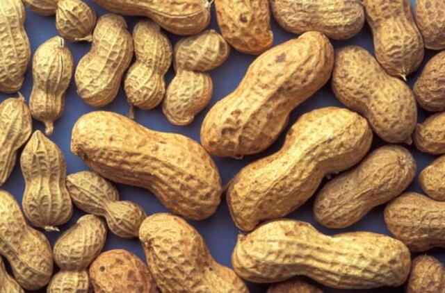 Maistui išrankūs vaikai ateityje gali būti alergiški