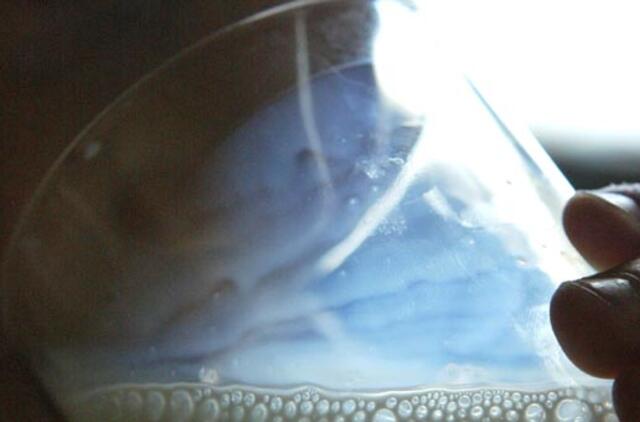 Nemokami vaisiai pas miesto vaikus skuba iš lėto