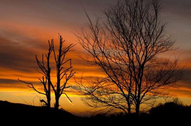 Gruodžio 14-oji: vardadieniai, dangaus kūnai, istorija