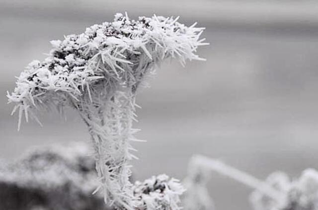 Gruodžio 28-oji: vardadieniai, dangaus kūnai, istorija