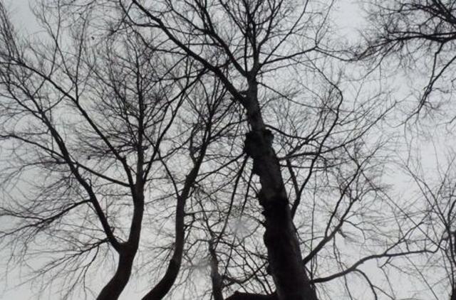 Gruodžio 3-oji: vardadieniai, dangaus kūnai, istorija