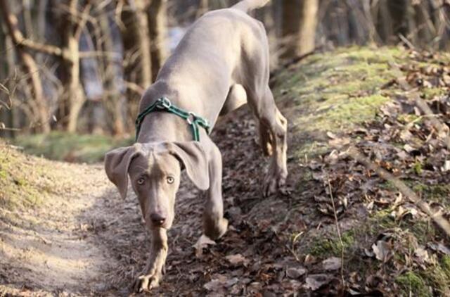 Gruodžio 30-oji: vardadieniai, dangaus kūnai, istorija