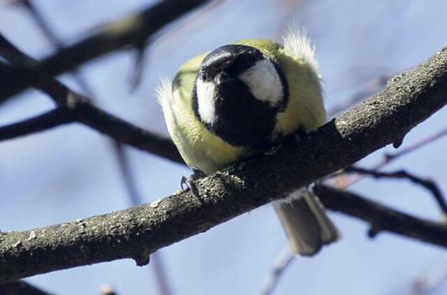Gruodžio 6-oji: vardadieniai, dangaus kūnai, istorija