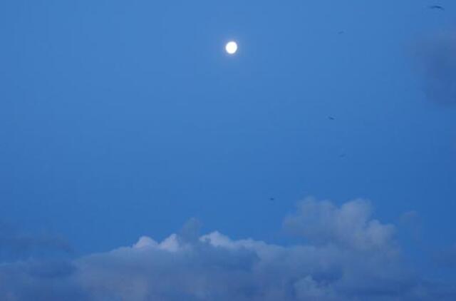 Klaipėda: VE.lt pristato gruodžio 14-osios įvykius