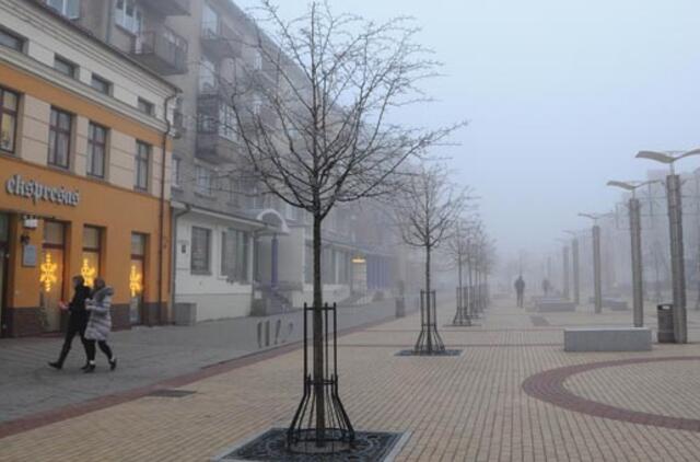 Klaipėda: VE.lt pristato gruodžio 29-osios įvykius