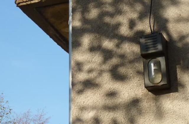 Klaipėda: VE.lt pristato gruodžio 6-osios įvykius