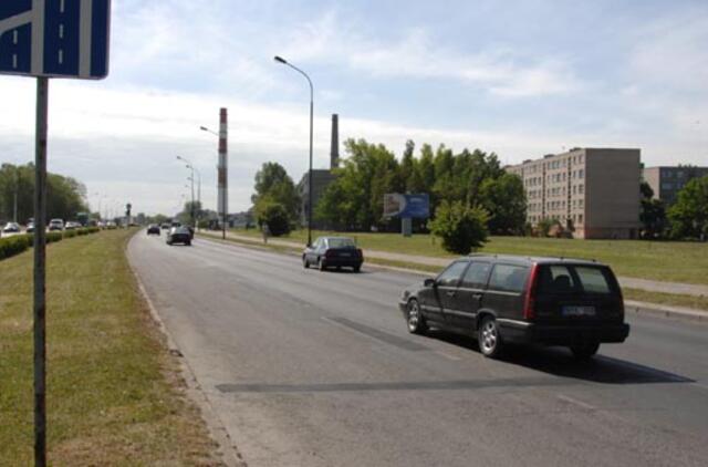 Šilutės plente padaugės želdinių