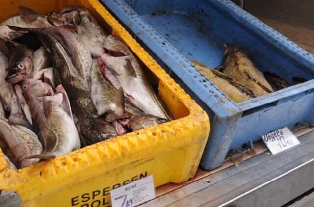 Siūloma įrengti plaukiojančią žuvies parduotuvę