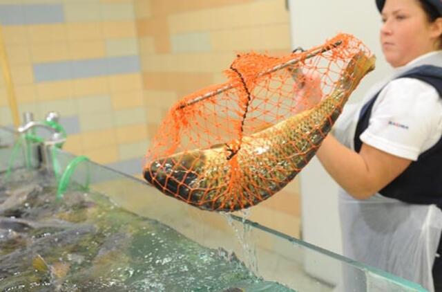 Žuvų produktai Lietuvoje: galime vartoti drąsiai