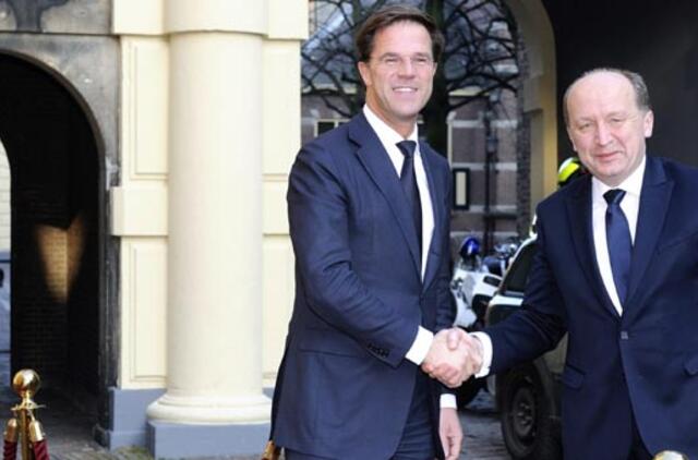 Andrius Kubilius susitiko su Nyderlandų premjeru