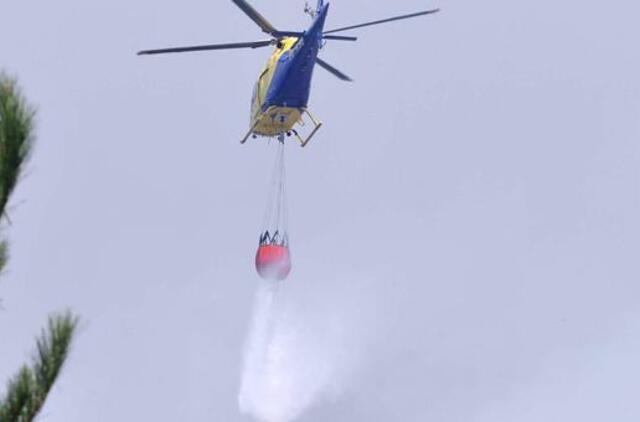 Čilėje plinta miškų gaisrai