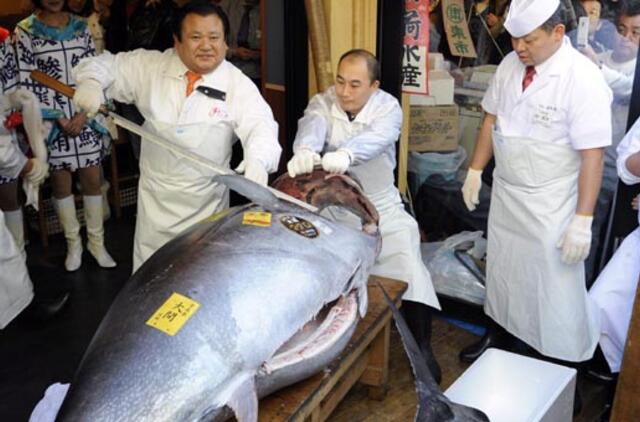 Japonijoje už rekordinę 566000 eurų kainą parduotas tunas