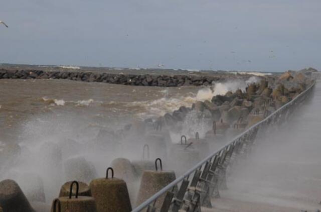 Klaipėda: VE.lt pristato sausio 13-osios įvykius