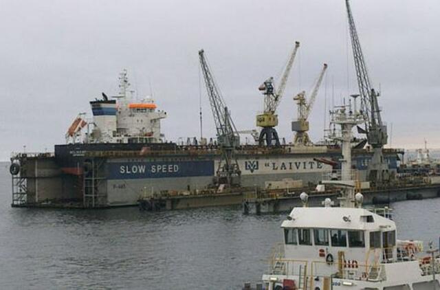 "Laivitės" dokas aptiktas Banginių įlankoje