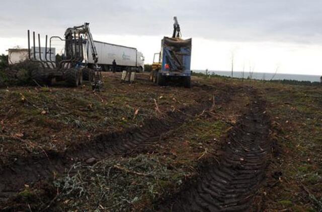 Medkirčiai šiurpina Neringą