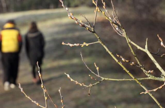 Sausio 4-oji: vardadieniai, dangaus kūnai, istorija