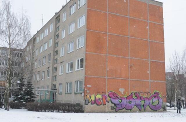 Grafičius nuo namų sienų šalinti teks gyventojams