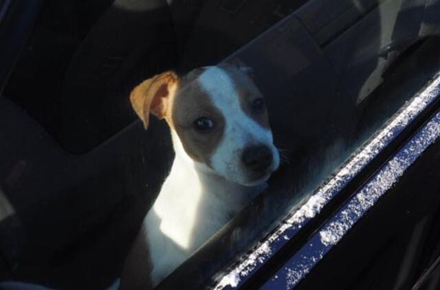 Klaipėda: VE.lt pristato vasario 13-osios įvykius