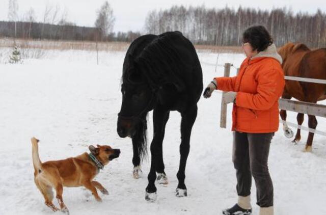 Klaipėda: VE.lt pristato vasario 22-osios įvykius
