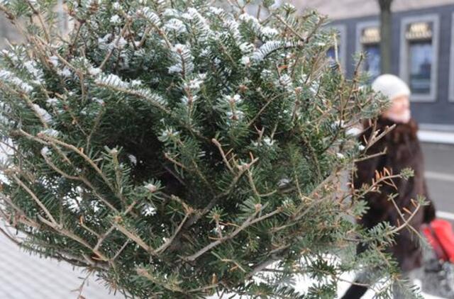 Klaipėda: VE.lt pristato vasario 8-osios įvykius