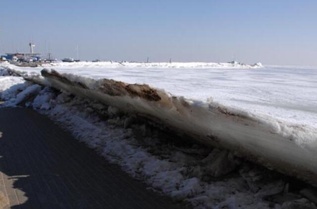 Kuršių marių atiduoti Neringai neskubama