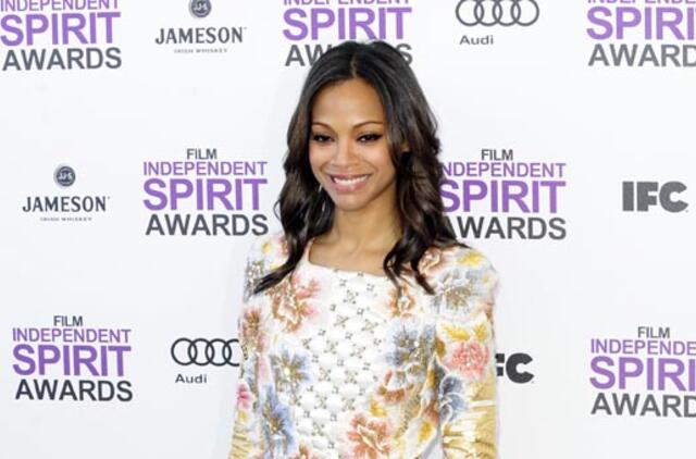 Per nepriklausomo kino apdovanojimus triumfavo "Artistas"