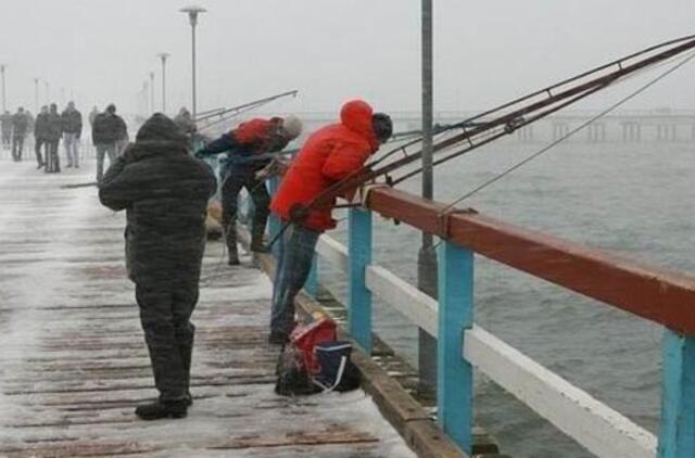 Prieš "Palangos stintą" - žuvies gaudytojų treniruotės