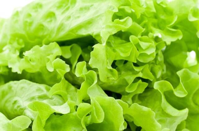 Šalčiai didina daržovių augintojų išlaidas