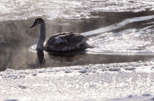 Vasario 12-oji: vardadieniai, dangaus kūnai, istorija