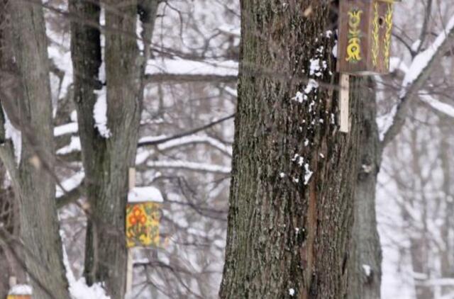 Vasario 15-oji: vardadieniai, dangaus kūnai, istorija