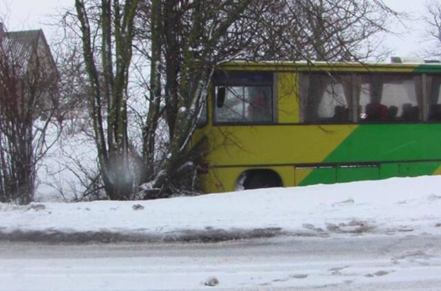 Vieną autobusą į griovį, kitą - į tvorą