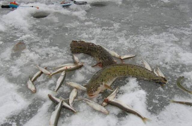 Žvejams: ledas sustojo, ponai!